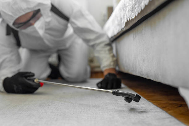 Professional Termite Control technician working in Guadalupe, AZ