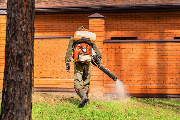Trusted Termite Control service in Guadalupe, AZ - Nex Pest Control